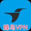蜂鸟VPN