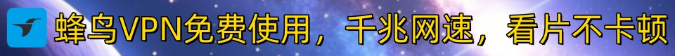 蜂鸟VPN